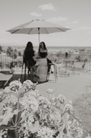 Sunny Days on the Deck