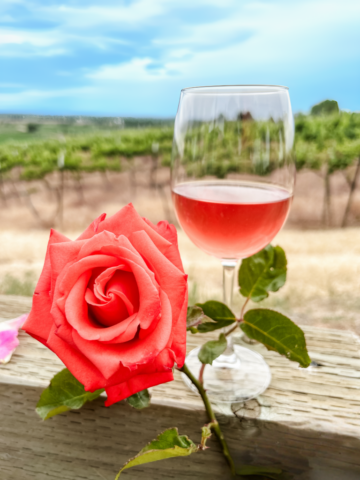 Rose all day!
